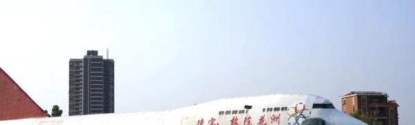 德宝·枚陈花洲