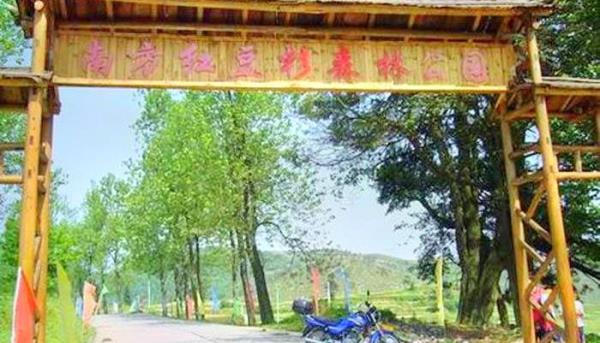 南方红豆杉森林公园