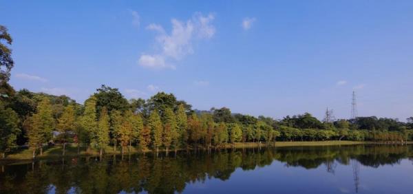中国科学院华南植物园鼎湖山树木园