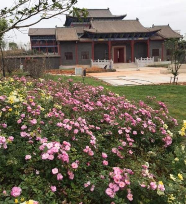 法界禅寺
