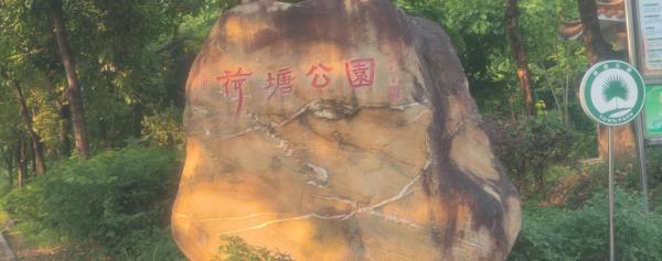 荷塘公园