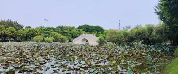 和穗湿地公园