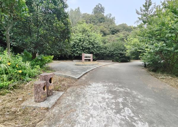 席帽山森林公园