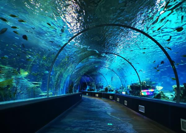阜阳尧泰汉海海洋公园