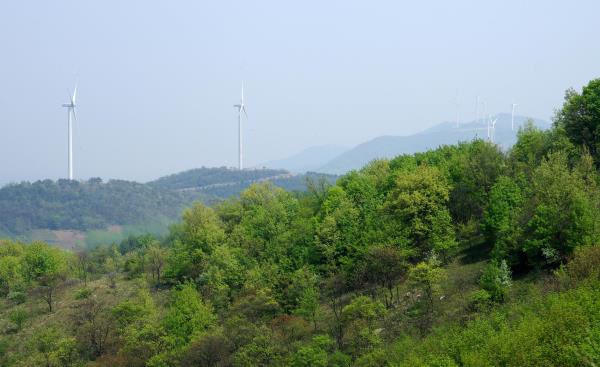 八公山风景区(国家地质公园)
