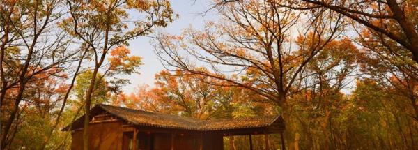 三台山国家森林公园