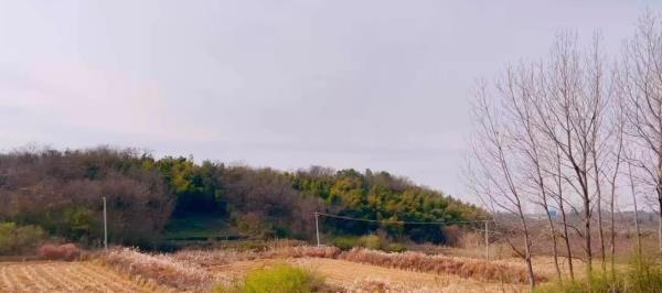 蒋门山