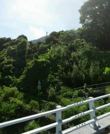 牛牯岭行山径10