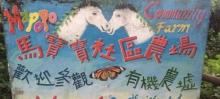 马宝宝社区农场1