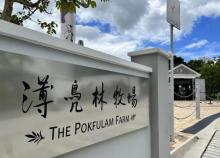 薄凫林牧场6