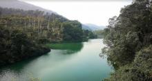 Tai Tong2