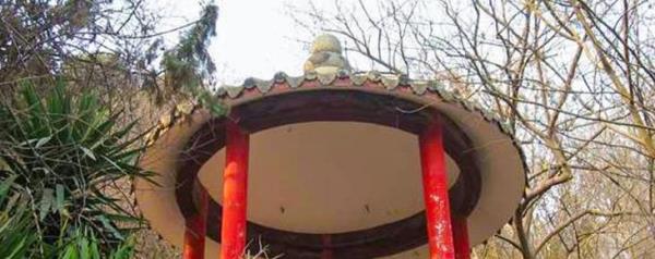 德云庵