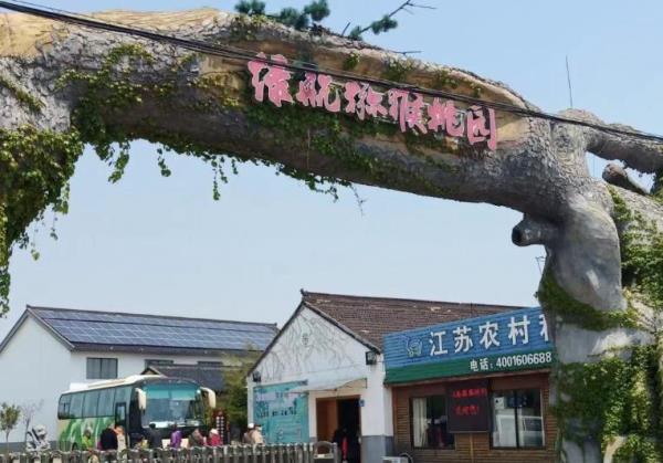 绿航猕猴桃园