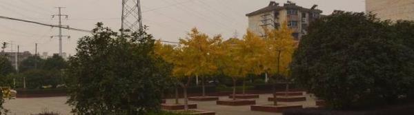 麒麟门市民广场