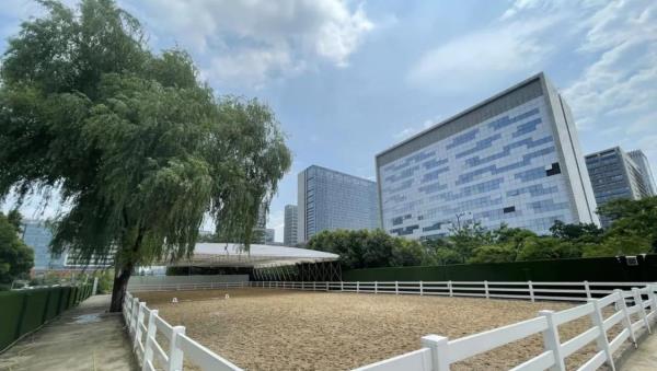 英骐国际马术俱乐部