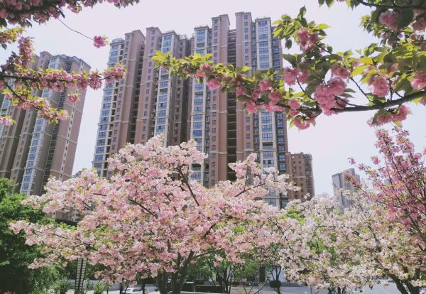 滁河湾湿地公园