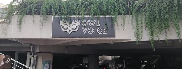 Owl Voice猫头鹰空间