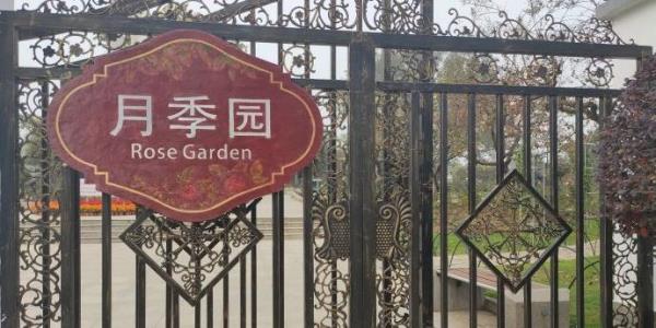 月季园