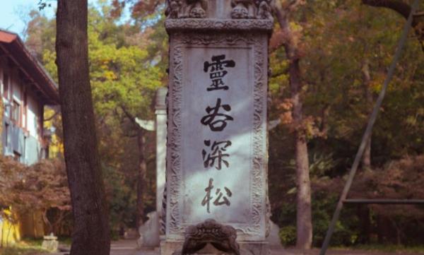 灵谷深松