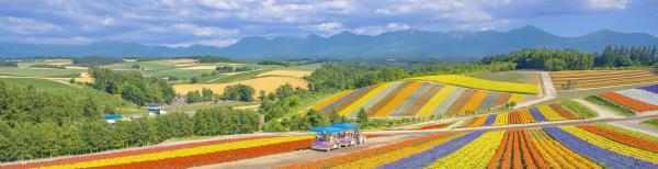 多乐拾趣花田乐园
