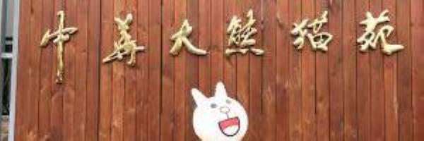 金陵中华大熊猫苑