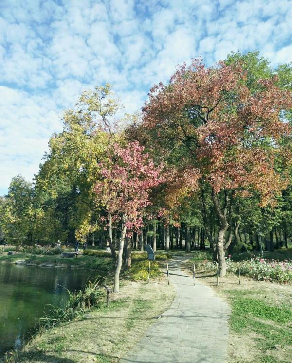 江苏省·中国科学院植物研究所植物博览园