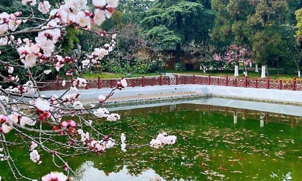 梅岗