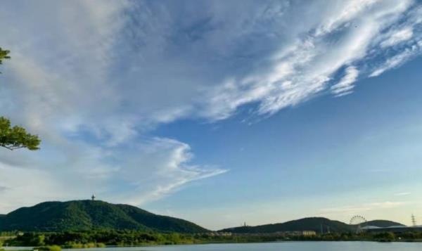 幸庄湿地公园