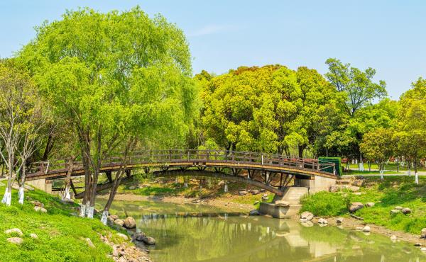 七桥瓮生态湿地公园