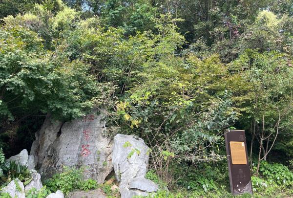 红叶谷