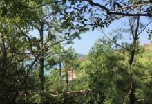 南丫岛观景台16