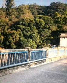 金山郊野公园21
