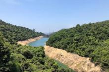 金山郊野公园19