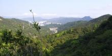 金山郊野公园9