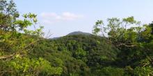 金山郊野公园5