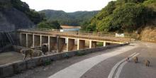 金山郊野公园13