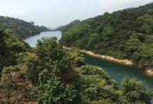 金山郊野公园15