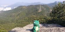 狮子山郊野公园8