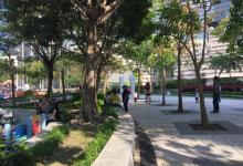 中间道儿童乐园6