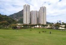 佐敦谷公园10