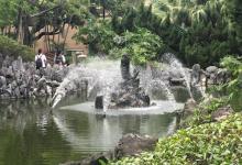 荔枝角公园4