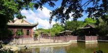 荔枝角公园16