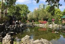 荔枝角公园25