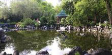 荔枝角公园14