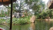 森林河流之旅2