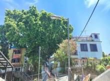 榕树湾大街26