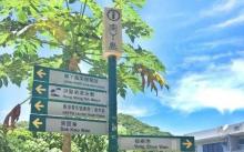 榕树湾大街25