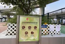 北角汽车轮渡码头游乐场4