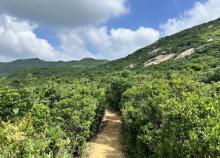 石澳郊野公园4