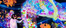 香港teamLab 共创！未来园14